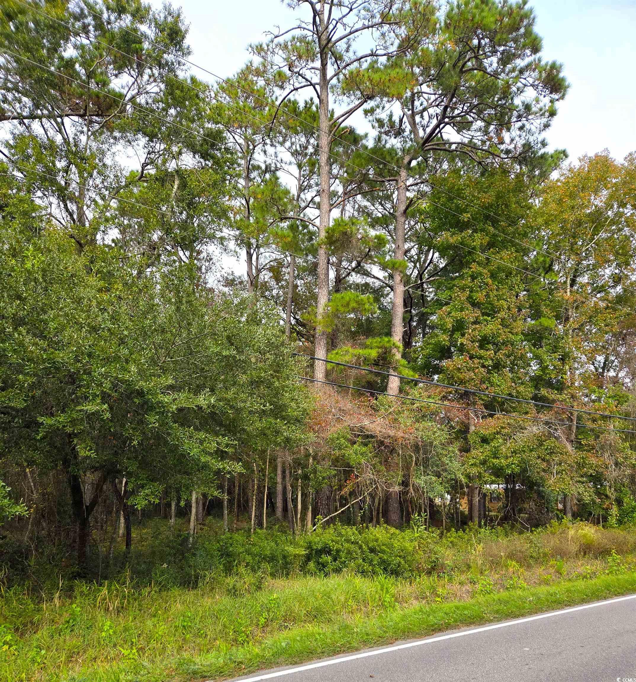 885 Martin Luther King Rd.