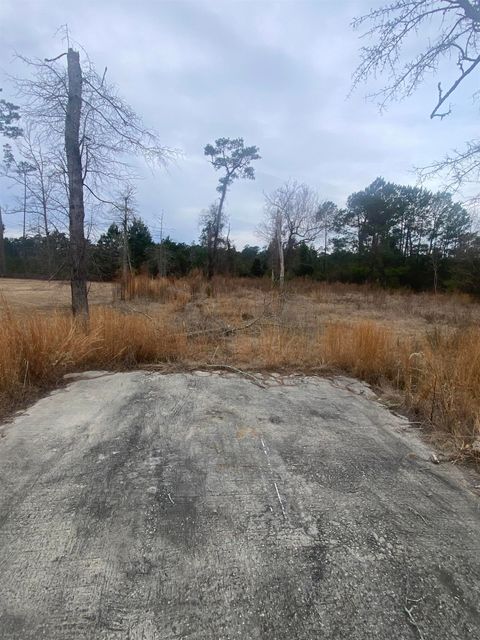 472 Sellers Rd. Conway SC 29526