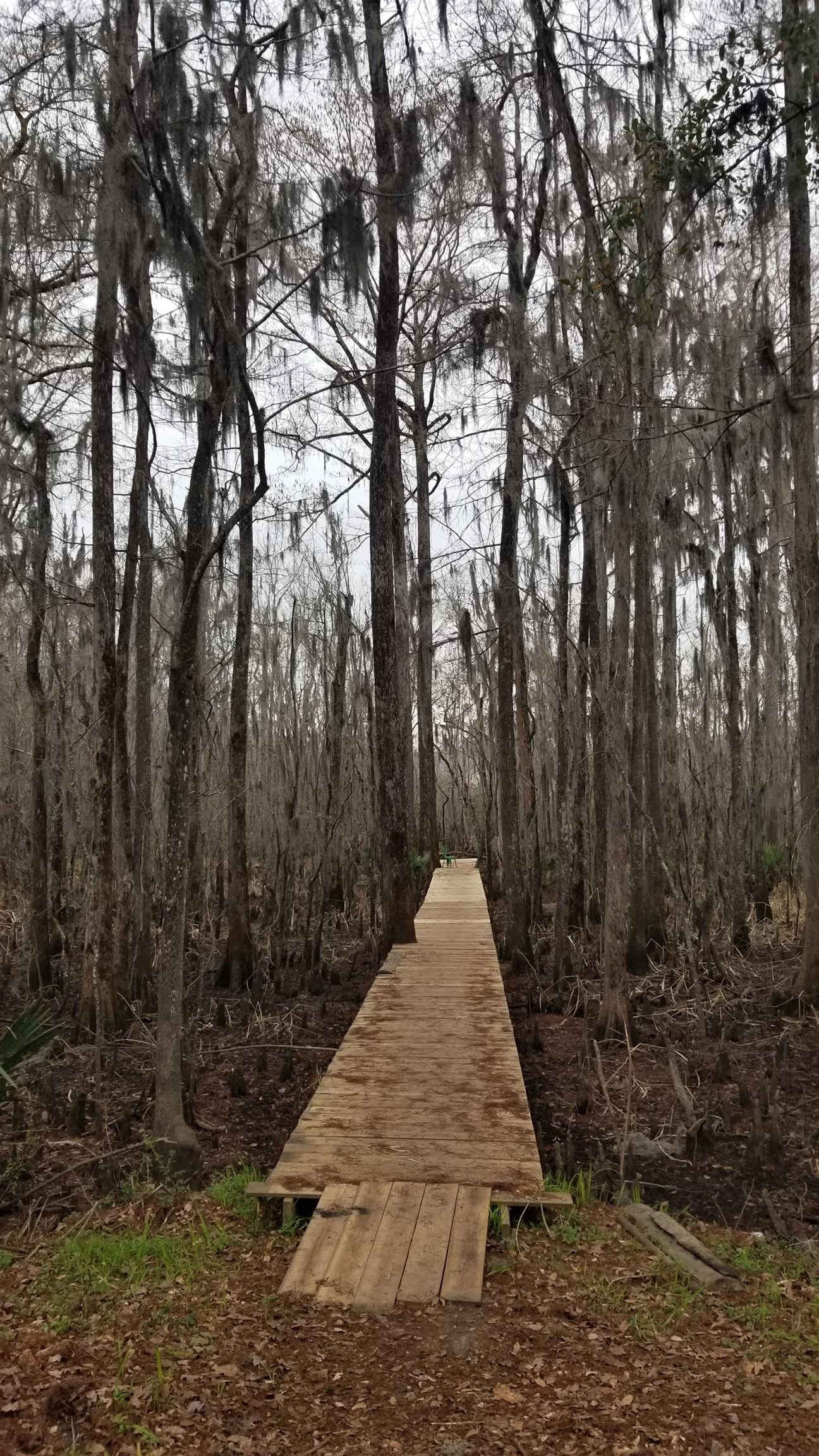 3120 High Market St.