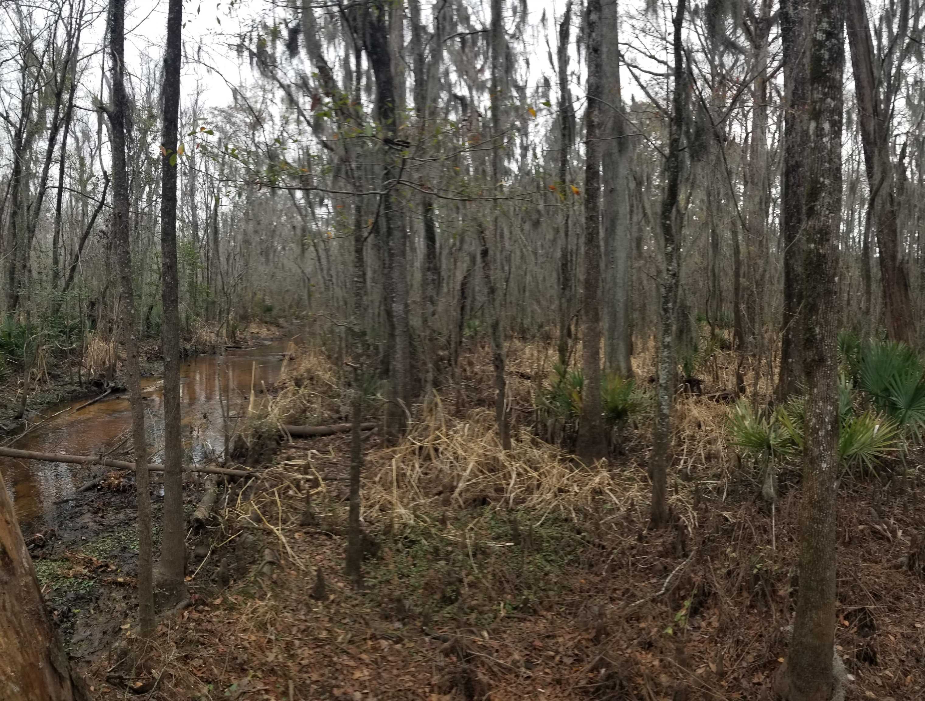 3120 High Market St.