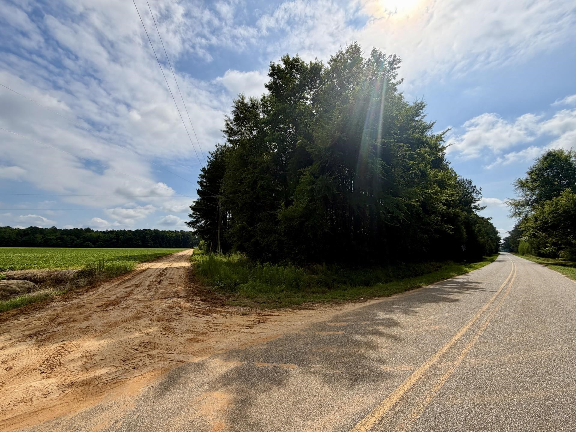 TBD Road 300
