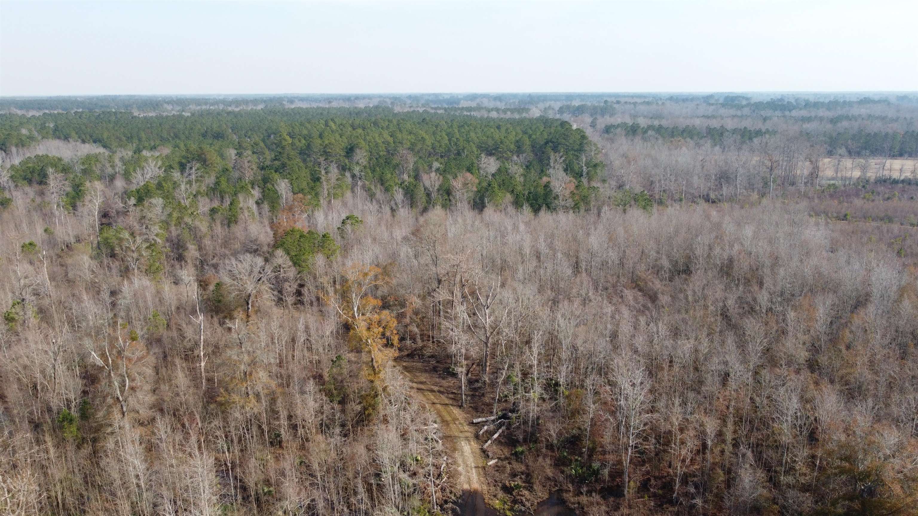 TBD Hunters Chapel Rd