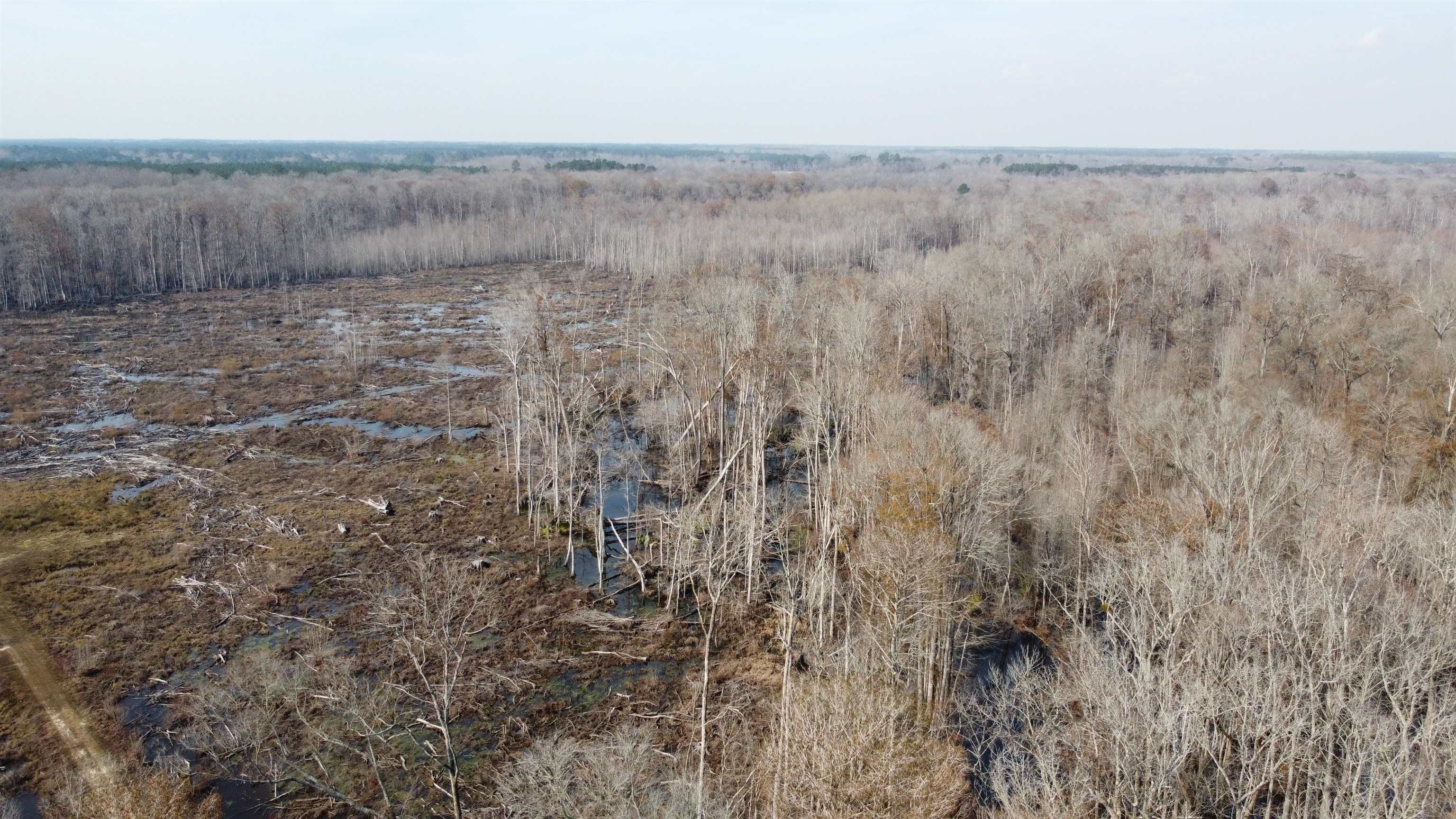 TBD Hunters Chapel Rd