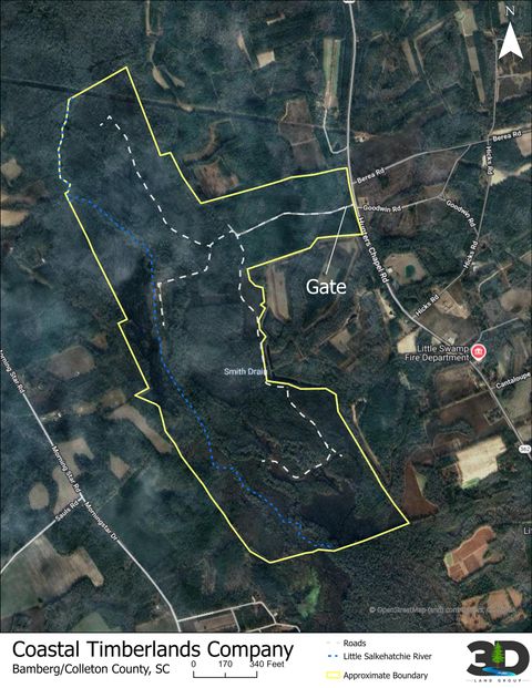 TBD Hunters Chapel Rd Ehrhardt SC 29081