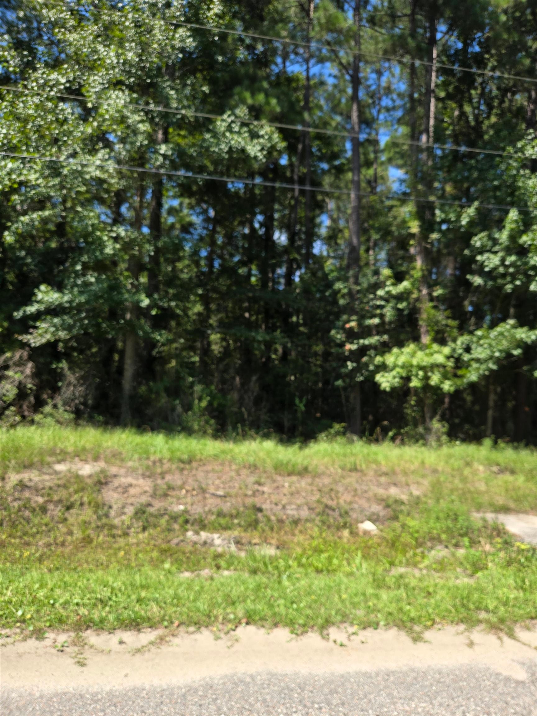 Lot 3 Freewoods Rd.