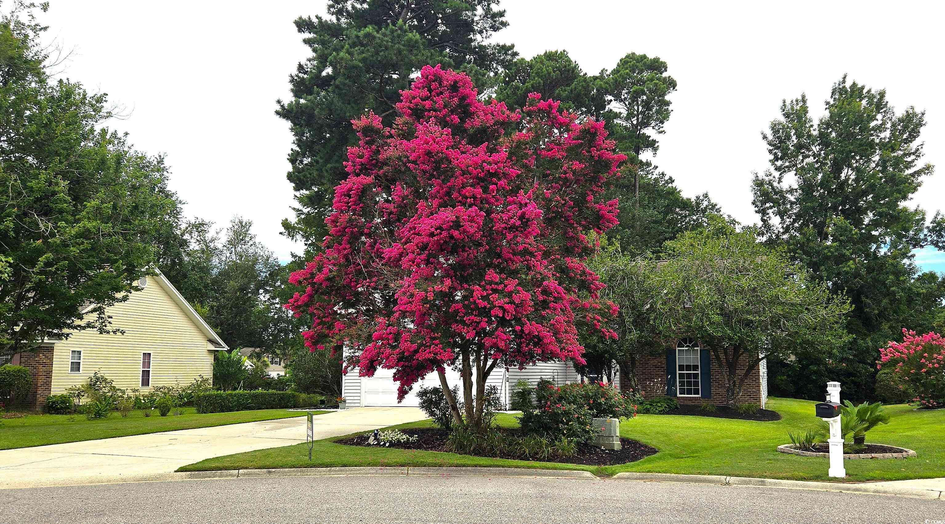 1409 Ashwood Circle