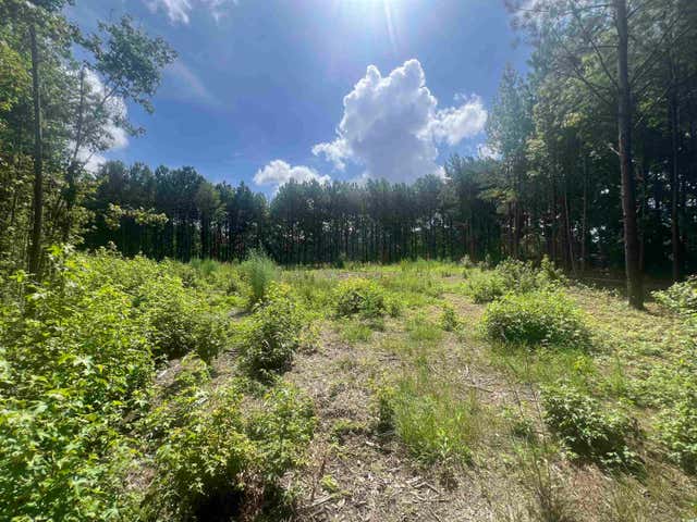 TBD Lot 6B Red Bluff Rd.