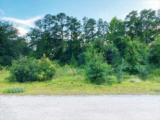 111 IVANHOE PL, HAMER, SC 29547 - Image 78b70bcc2976ba009c3e10efaad8fe0b/1104050577