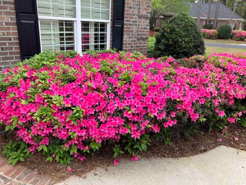 A home in Pawleys Island