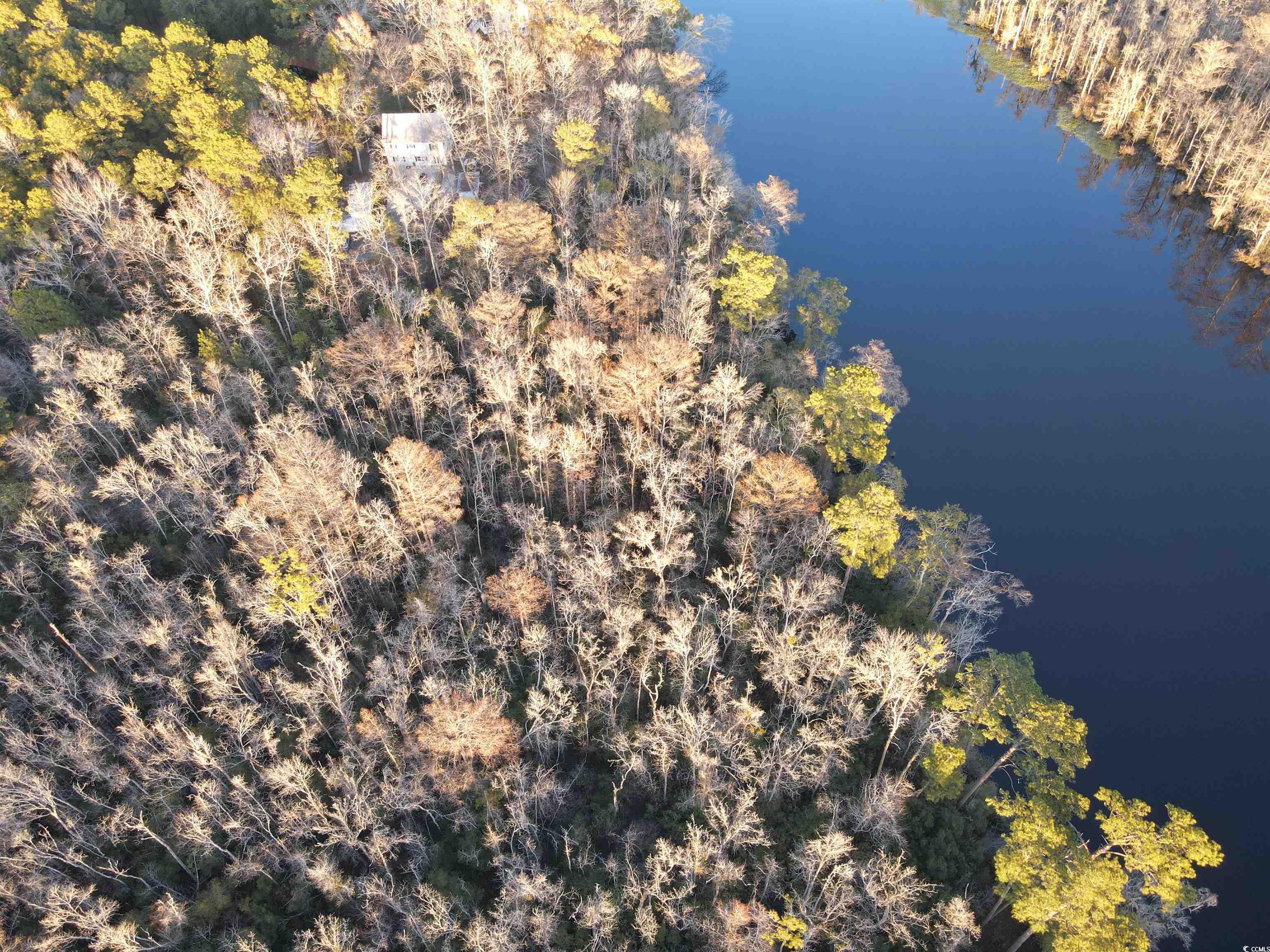 TBD Francis Marion Dr.