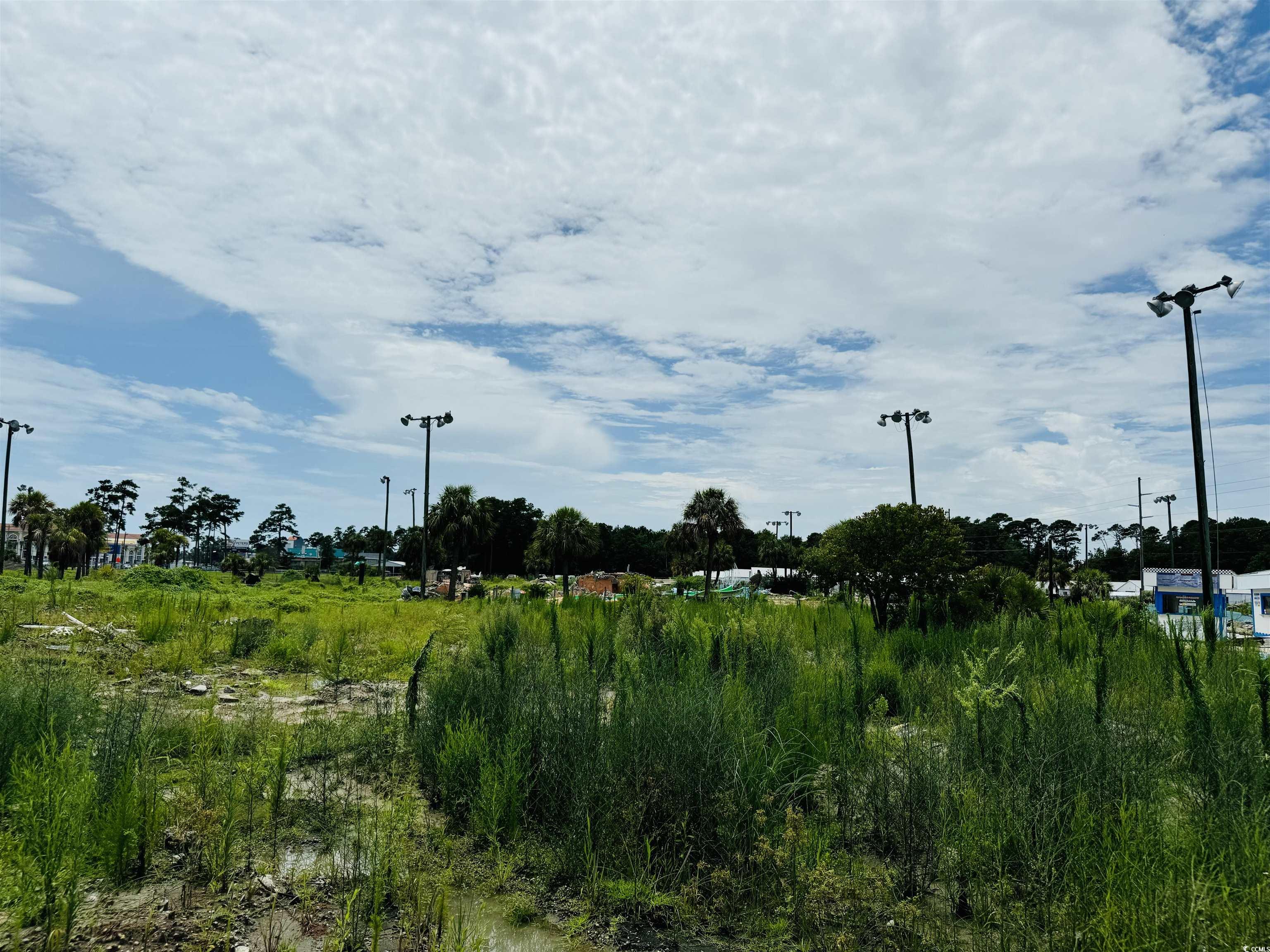 910 Highway 17 South