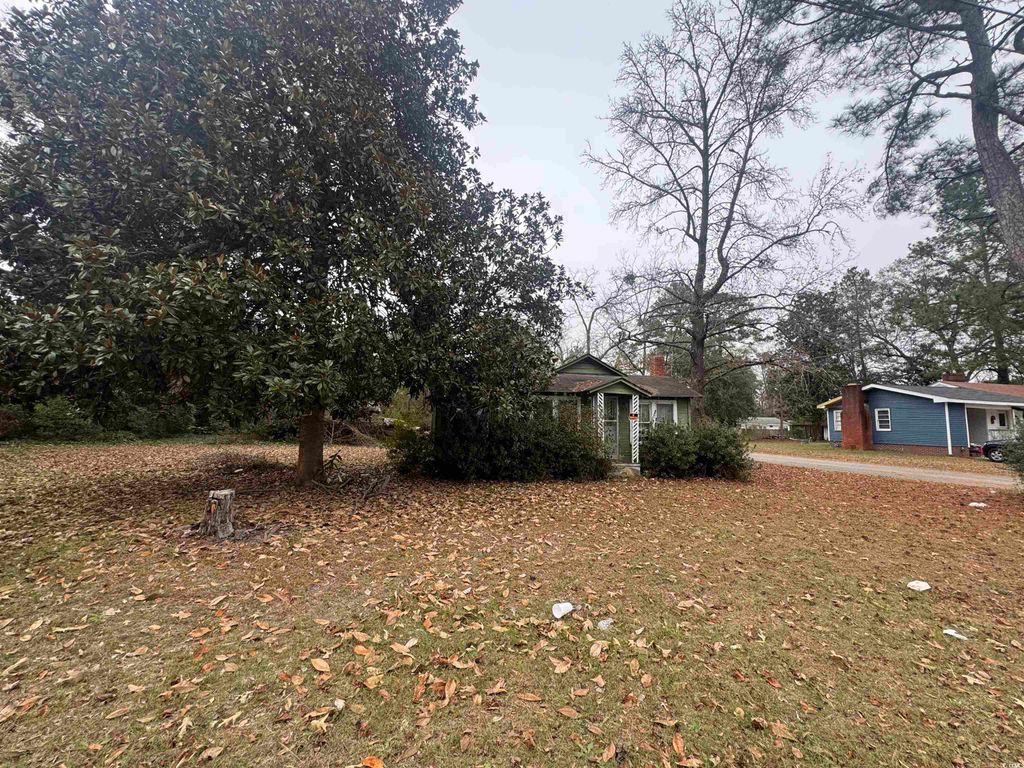 Photo of 153 E Pine St, Johnsonville, SC 29555 (MLS # 2528711)