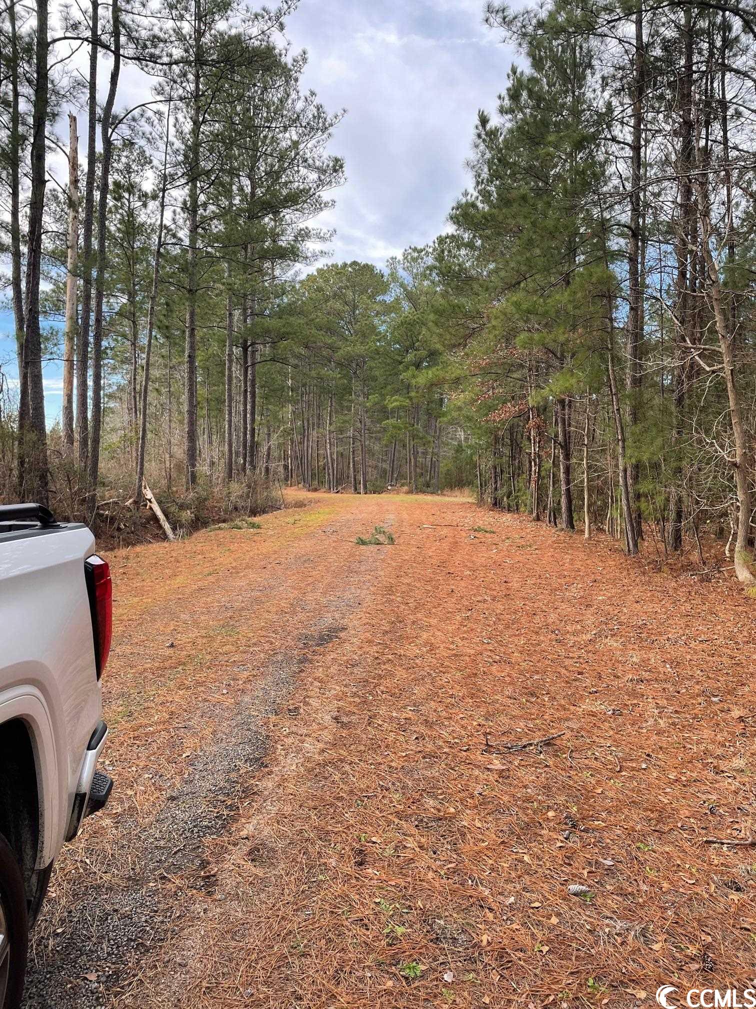 Conway, South Carolina 29526, United States, ,Land,Pending,66763