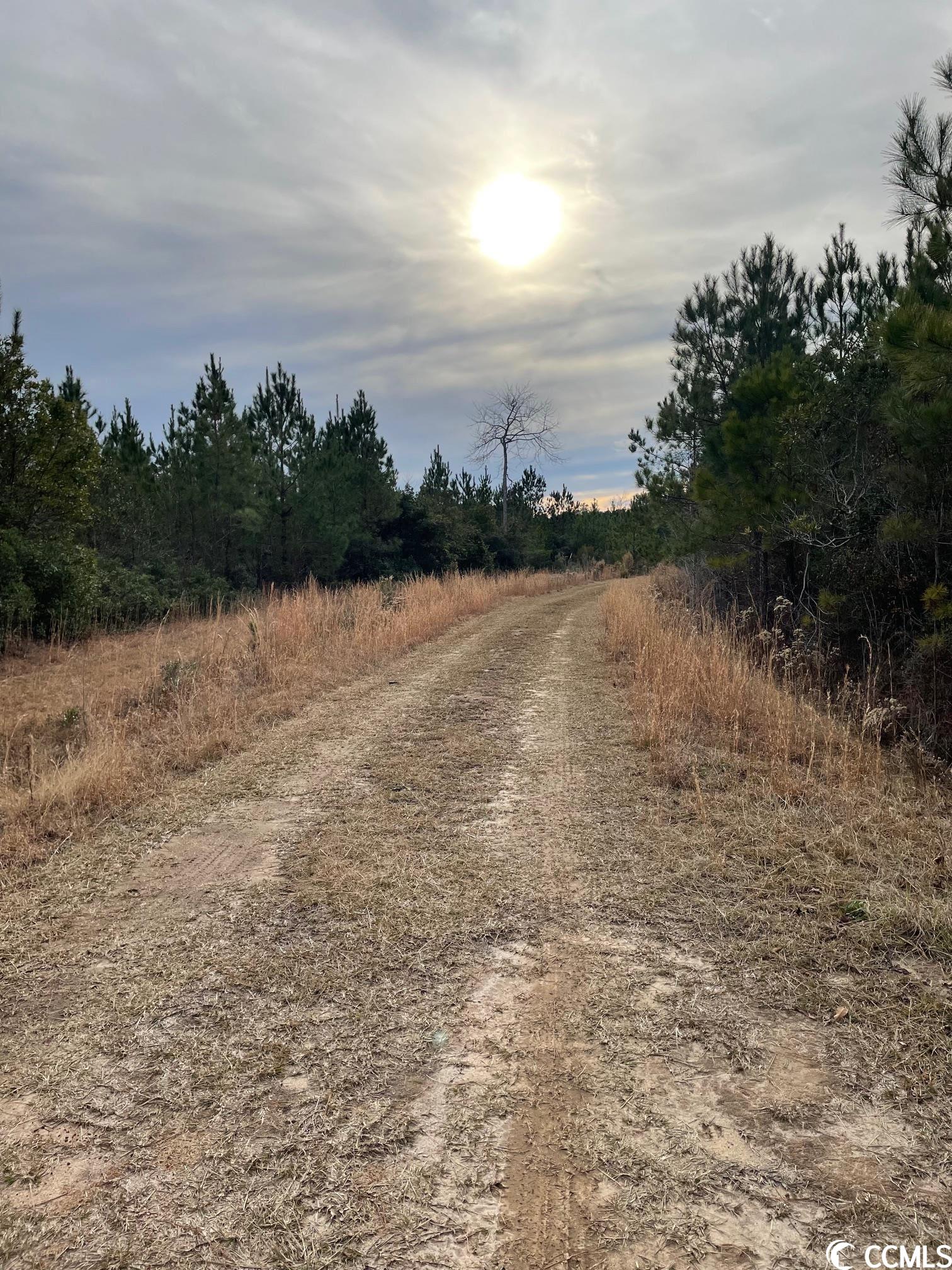 Conway, South Carolina 29526, United States, ,Land,Pending,66763