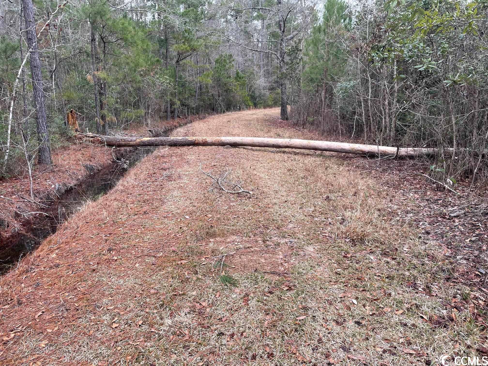 Conway, South Carolina 29526, United States, ,Land,Pending,66763