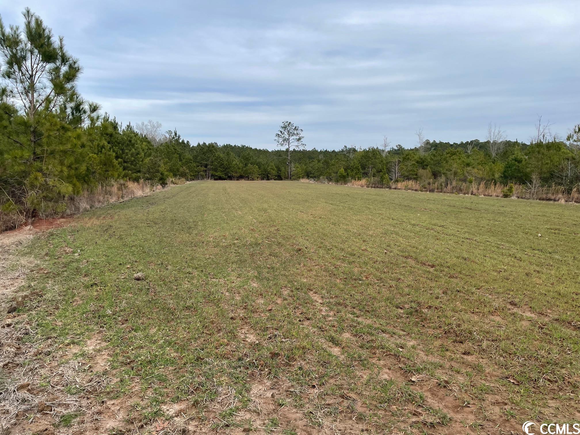 Conway, South Carolina 29526, United States, ,Land,Pending,66763