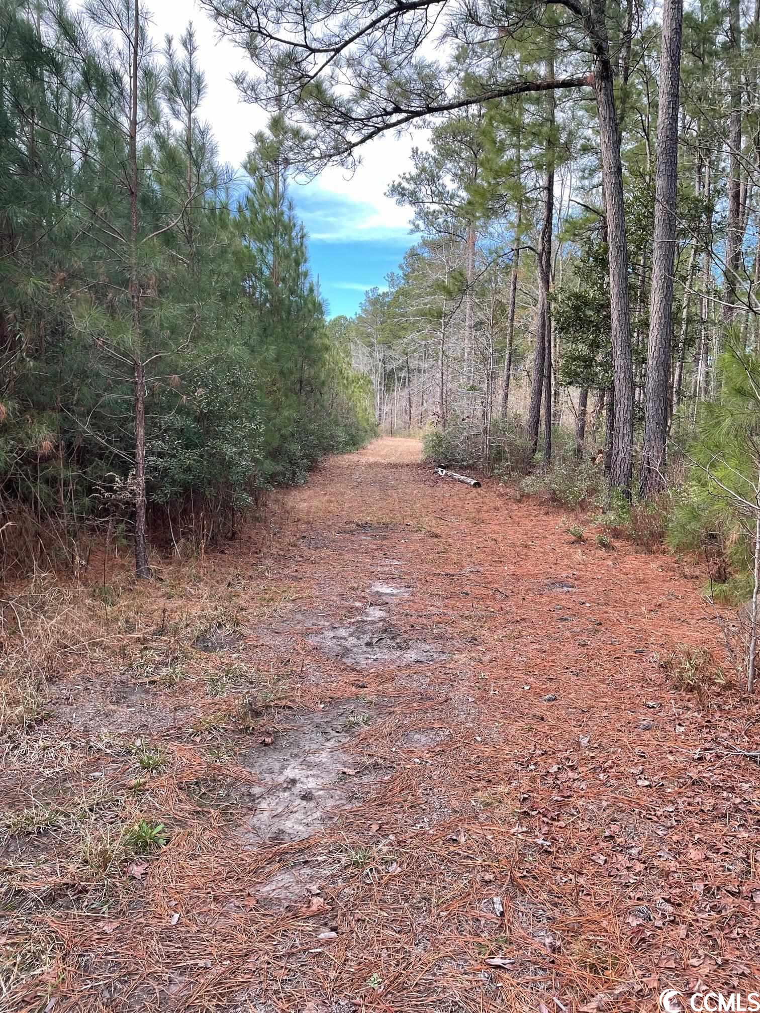 Conway, South Carolina 29526, United States, ,Land,Pending,66763