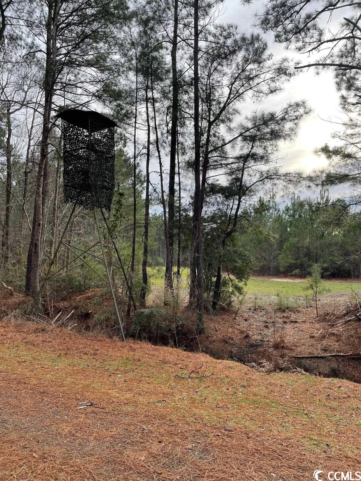 Conway, South Carolina 29526, United States, ,Land,Pending,66763