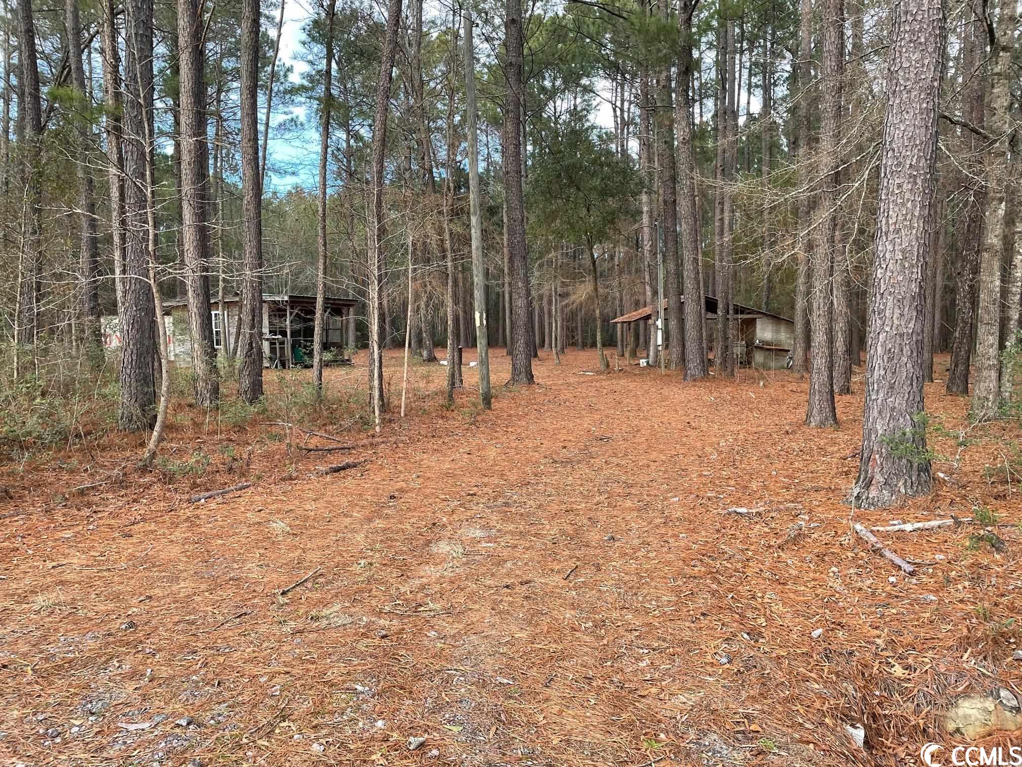 Conway, South Carolina 29526, United States, ,Land,Pending,66763