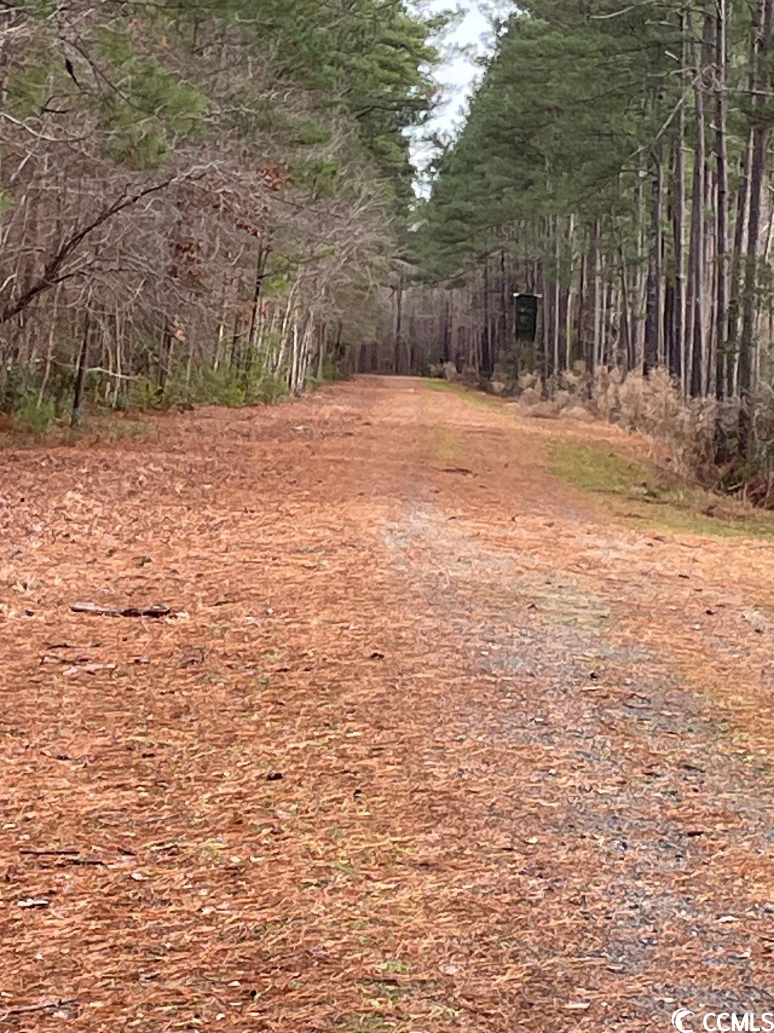 Conway, South Carolina 29526, United States, ,Land,Pending,66763