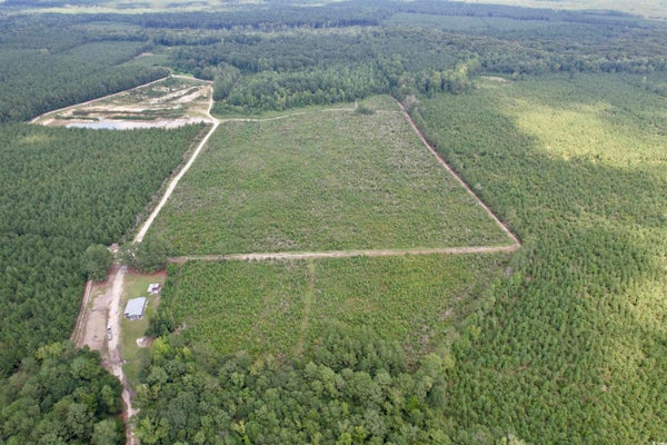 FOX HILL RD, PAMPLICO, SC 29583 - Image 82dbc073c792dbb422ed2c70ea74b77e/1221811227