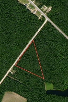 WOLF PIT BAY RD, NICHOLS, SC 29581 - Image 8461df2f01c97e2cbdd96b25f4d1fcad/1030563633