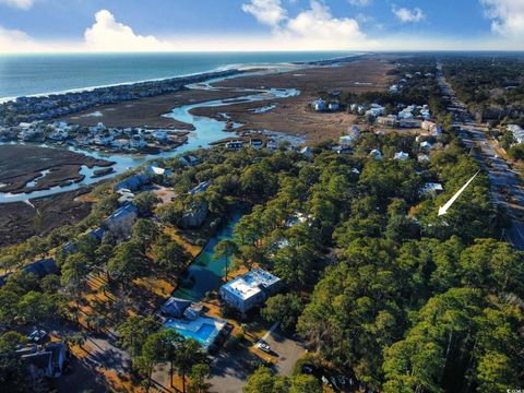 A home in Pawleys Island