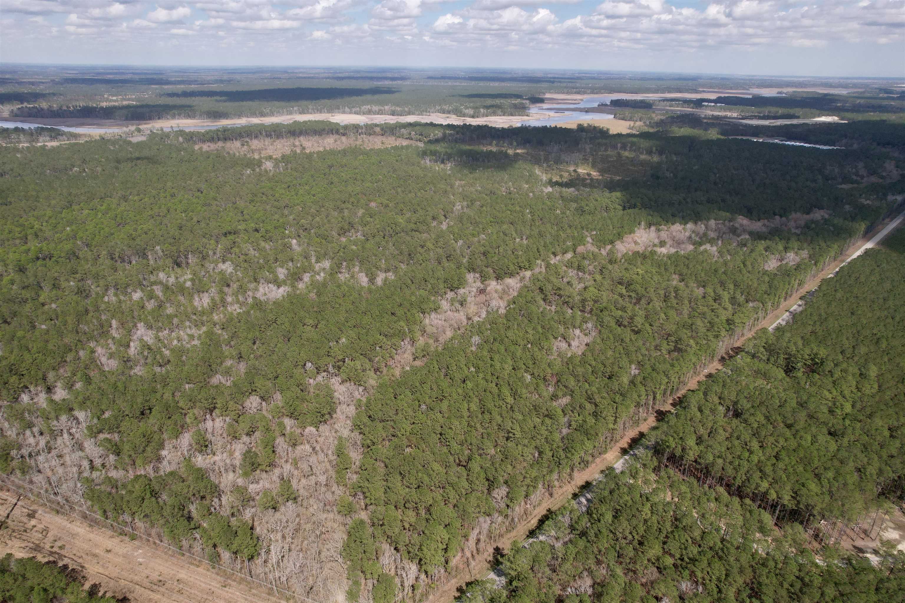 Tract B - TBD Pennyroyal Rd.