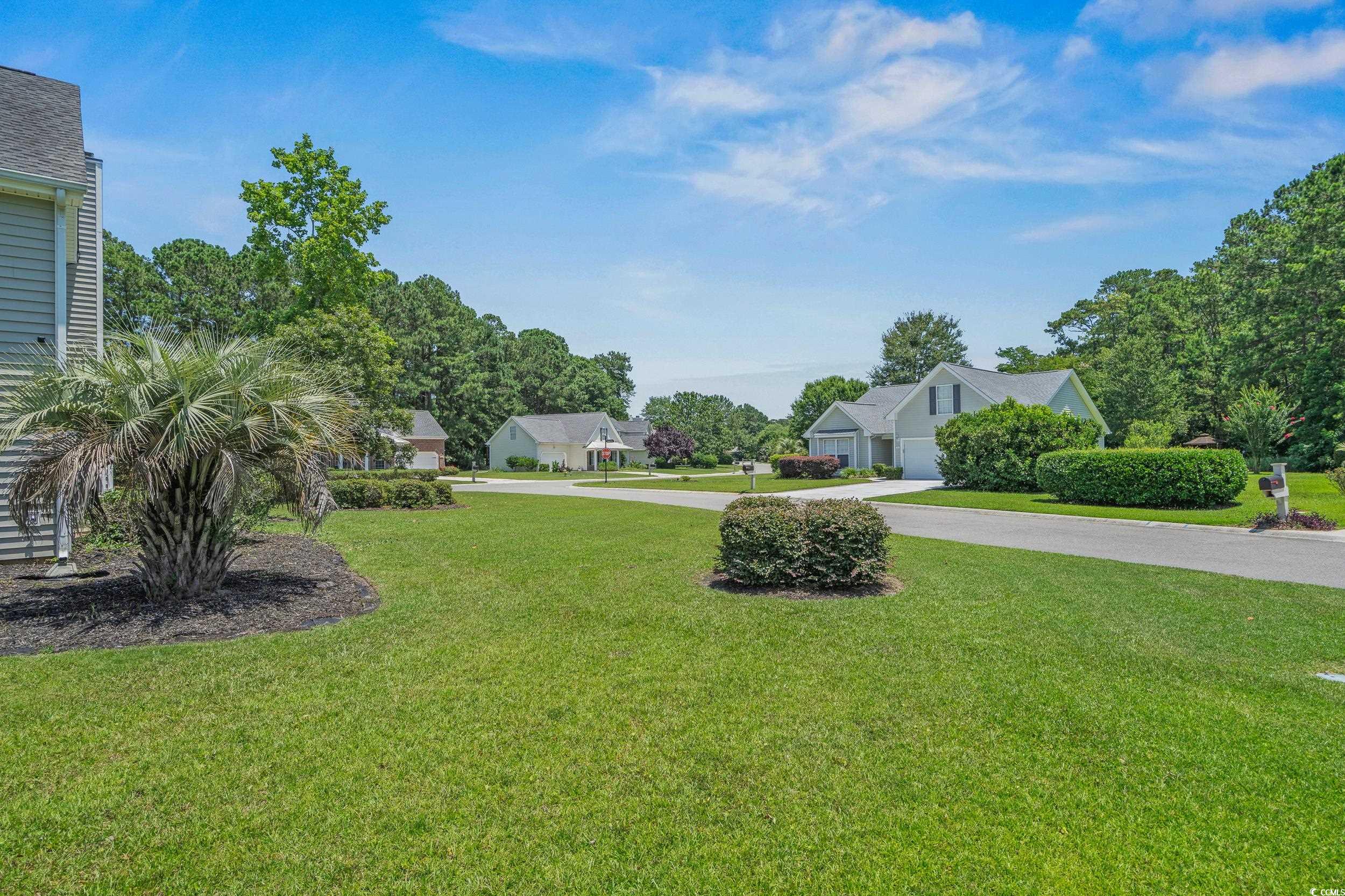 4539 Fringetree Dr.