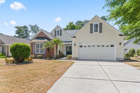 Photo of 259 Barony Pl, Pawleys Island, SC 29585 (MLS # 2610471)