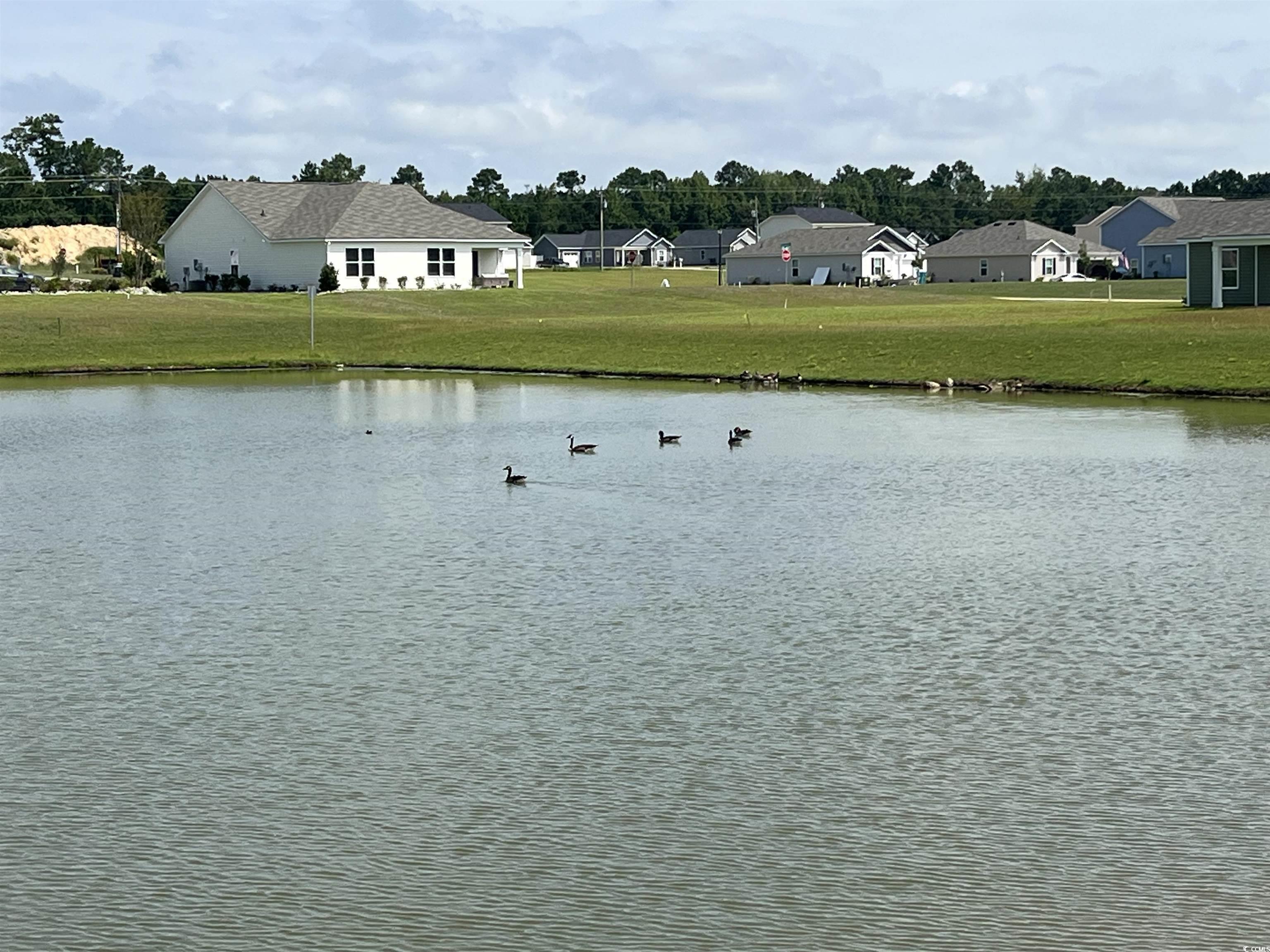 Conway, South Carolina 29527, United States, 3 Bedrooms Bedrooms, ,2 BathroomsBathrooms,Residential,Active,177579