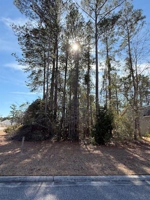 2001 SPRING VALLEY CT, LORIS, SC 29569 - Image 8ecaa1664d0cfeeb99fe5a064a3b9ced/2453156706
