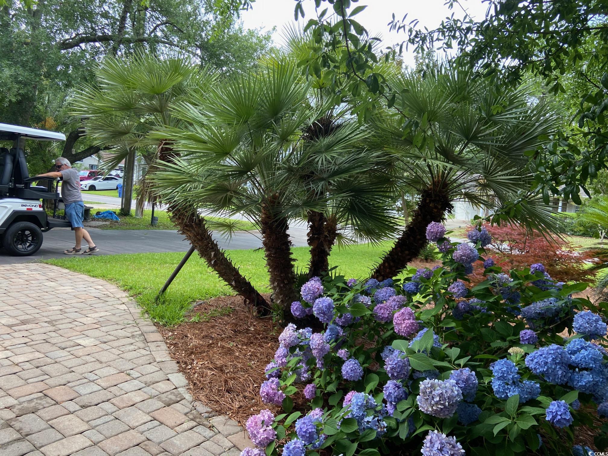 618 Cypress Dr.