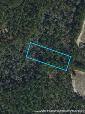 MILL SWAMP RD, LONGS, SC 29568 - Image 8f703dd79f2faae074b60f714341e5d6/3922521665