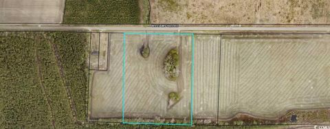 TBD2 Williams Hill Rd. Hemingway SC 29554