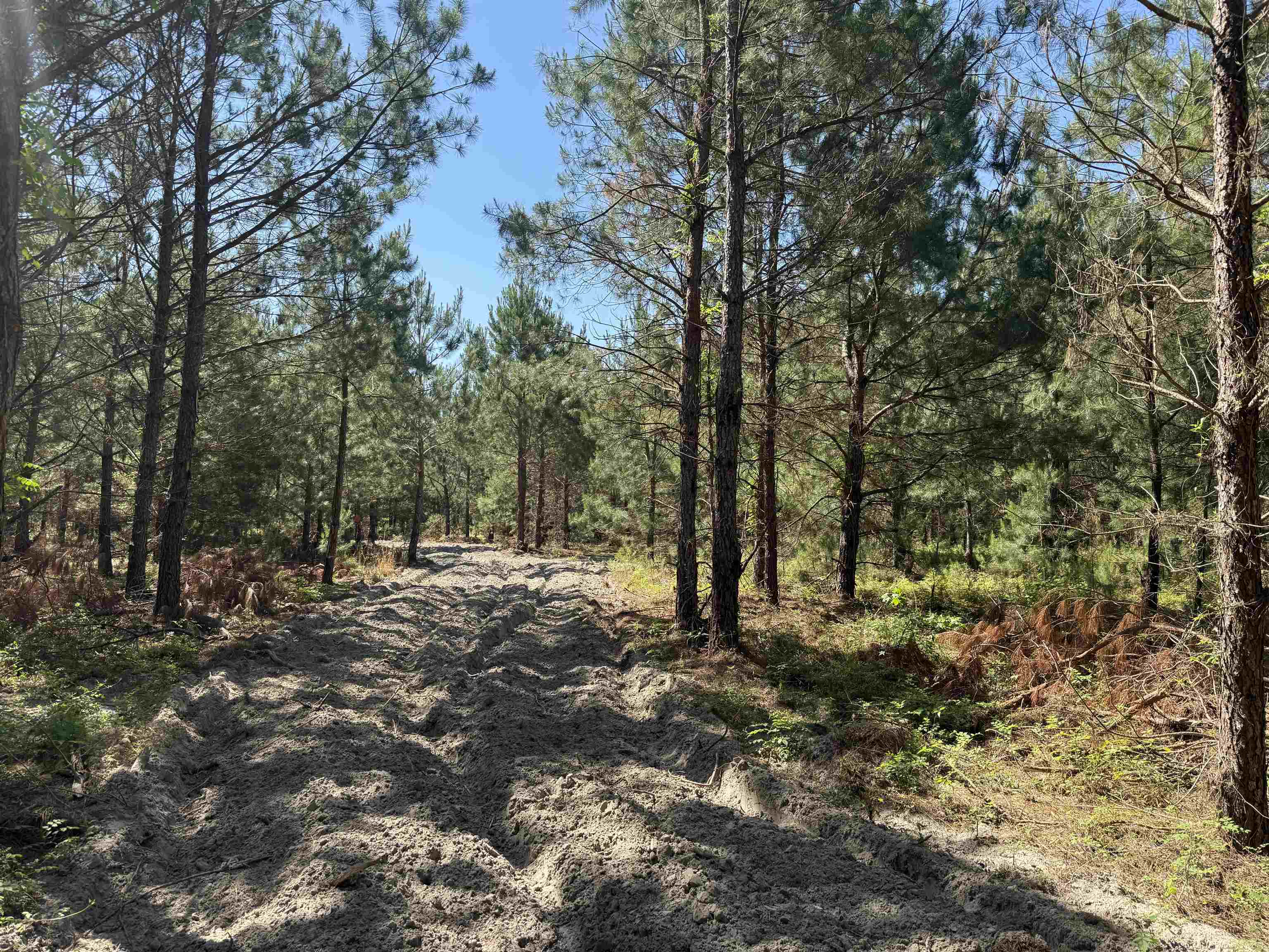 43 Acres - 5432 Juneburn Rd.