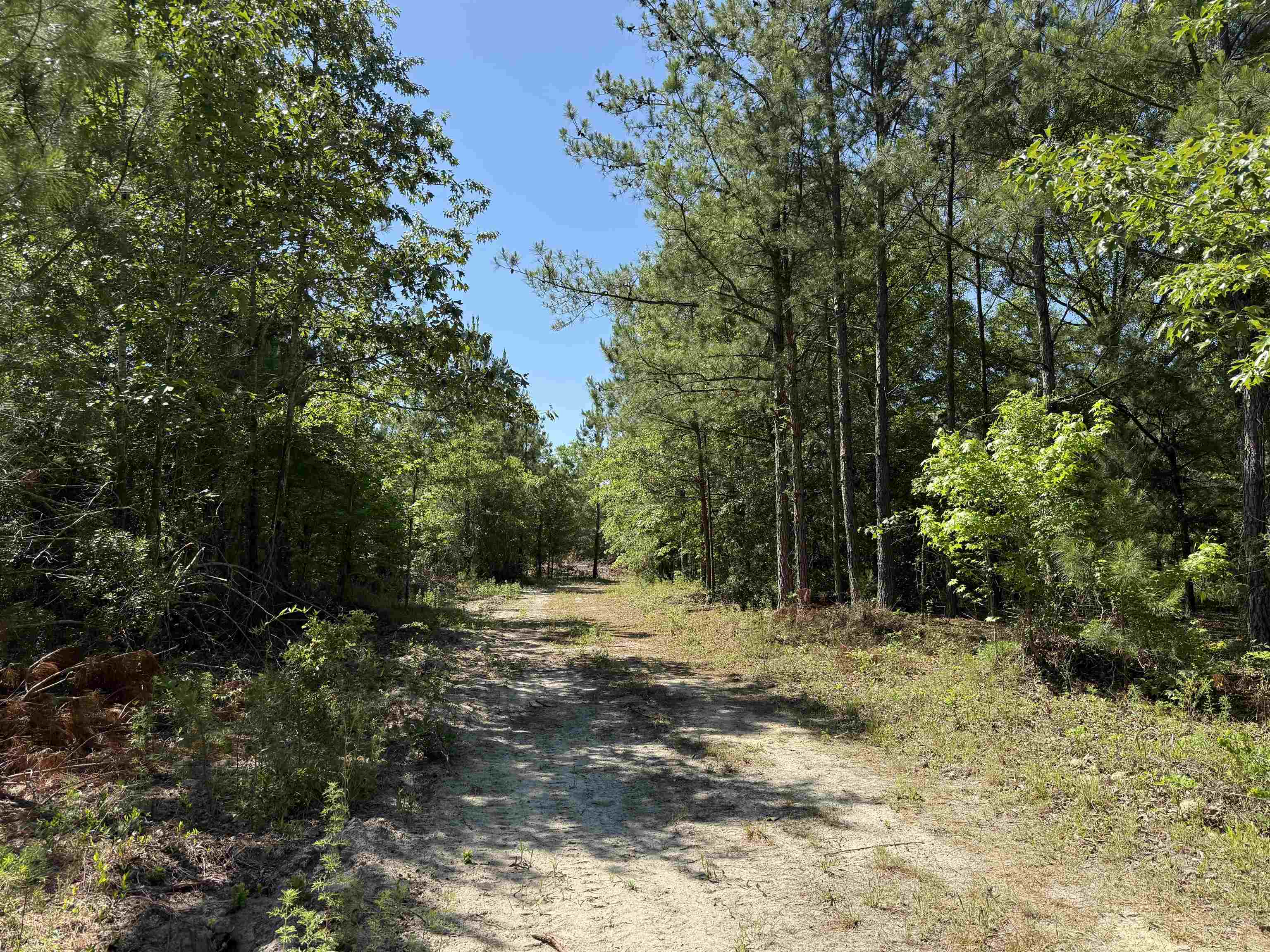 43 Acres - 5432 Juneburn Rd.