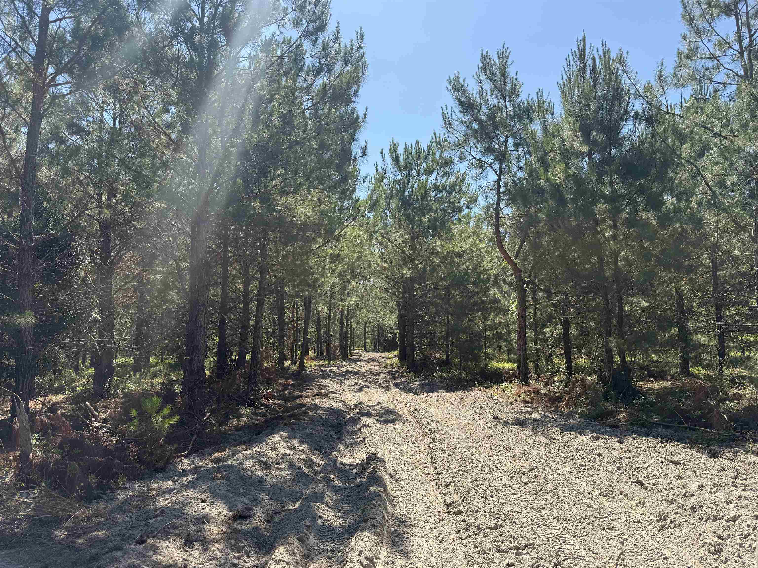 43 Acres - 5432 Juneburn Rd.
