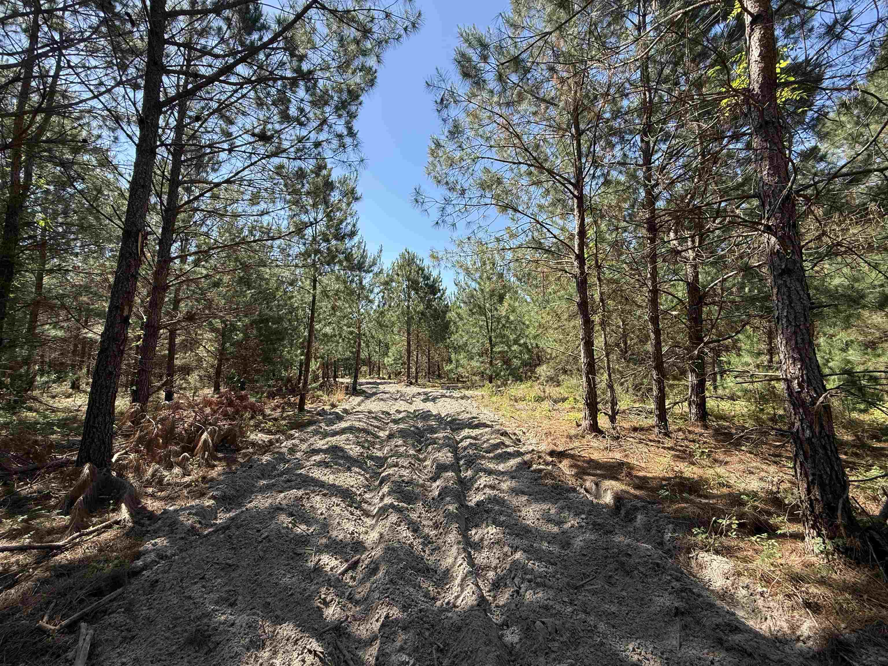 43 Acres - 5432 Juneburn Rd.