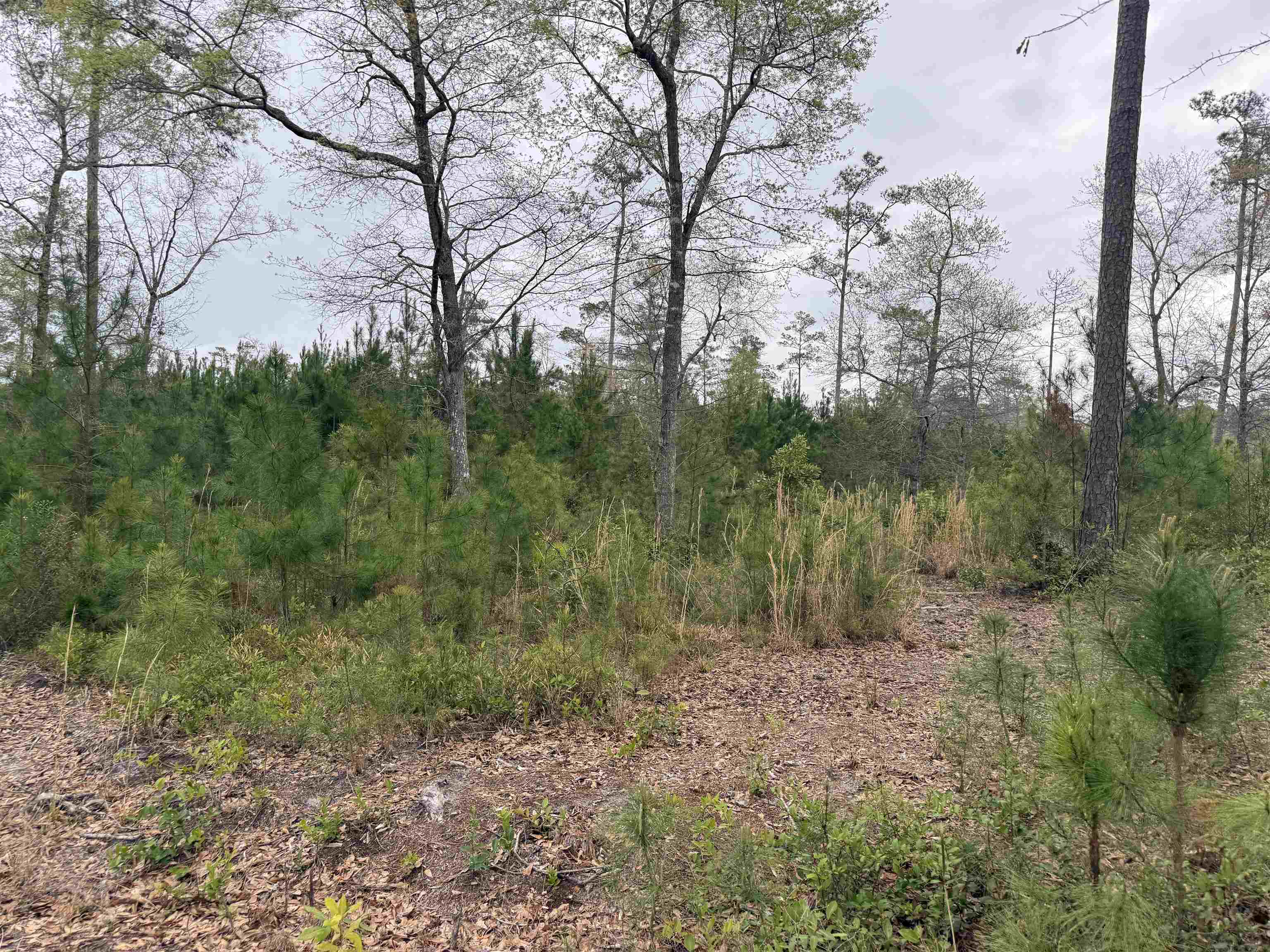 4999 Huckleberry Ln.