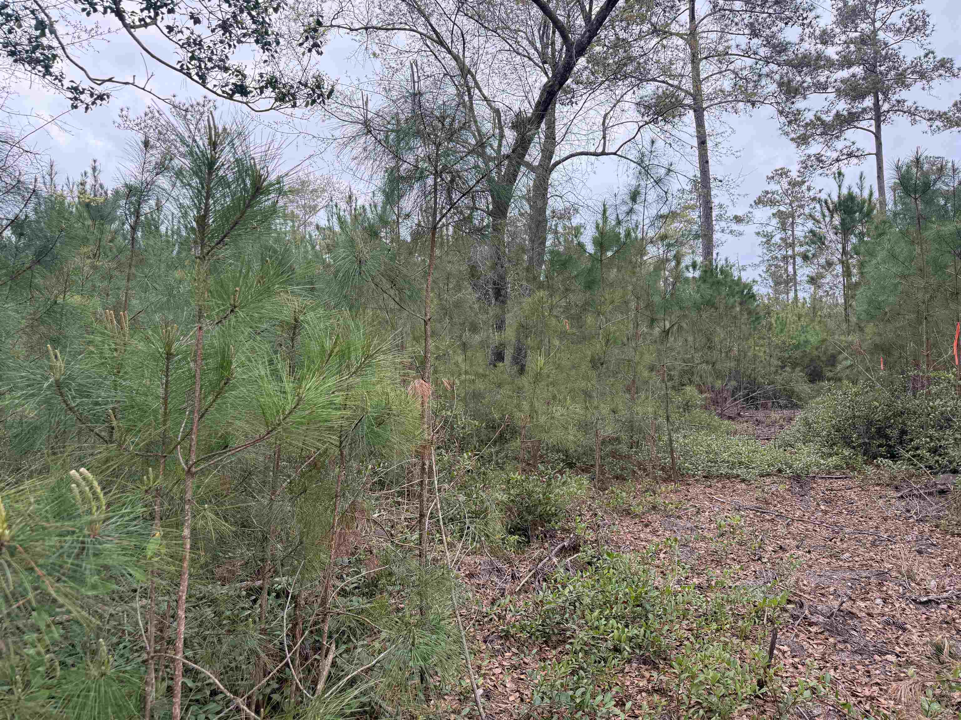 4999 Huckleberry Ln.