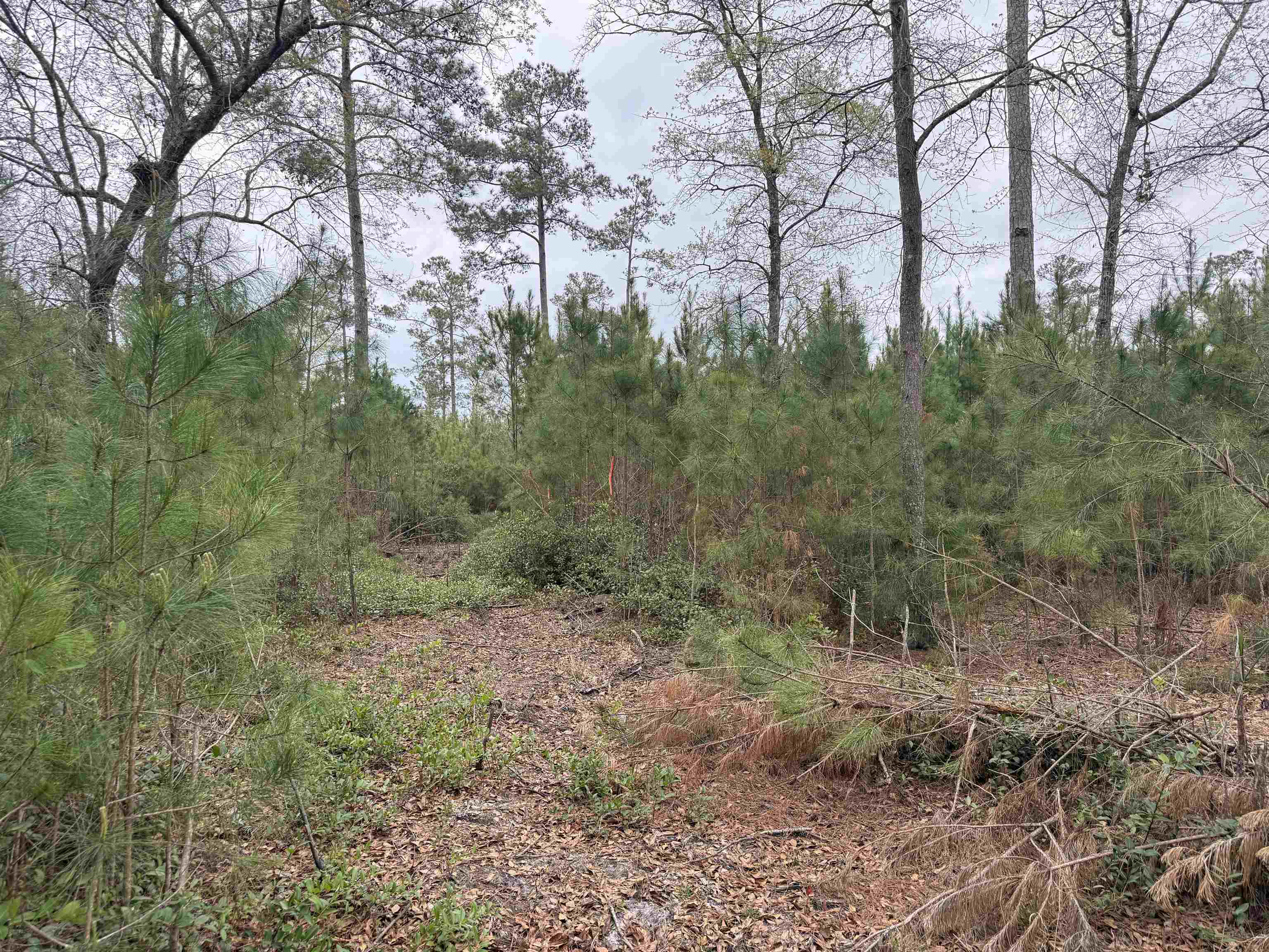 4999 Huckleberry Ln.