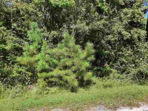 Lot 9 E Wisteria Dr. Hemingway SC 29554
