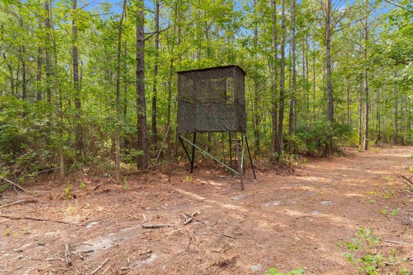 155 ROPER WOODS RD, LAKE CITY, SC 29560 - Image 97b176eb69a63dccfc51da2eb04af7c4/178701370