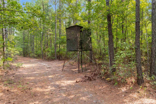 155 ROPER WOODS RD, LAKE CITY, SC 29560 - Image 97b176eb69a63dccfc51da2eb04af7c4/786108235