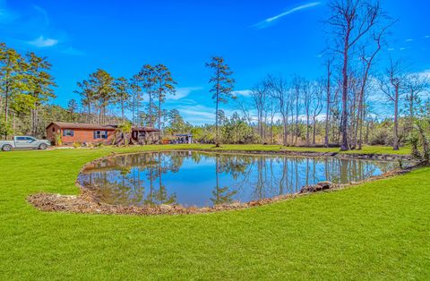 81 Silver Pond Ln Hemingway SC 29554