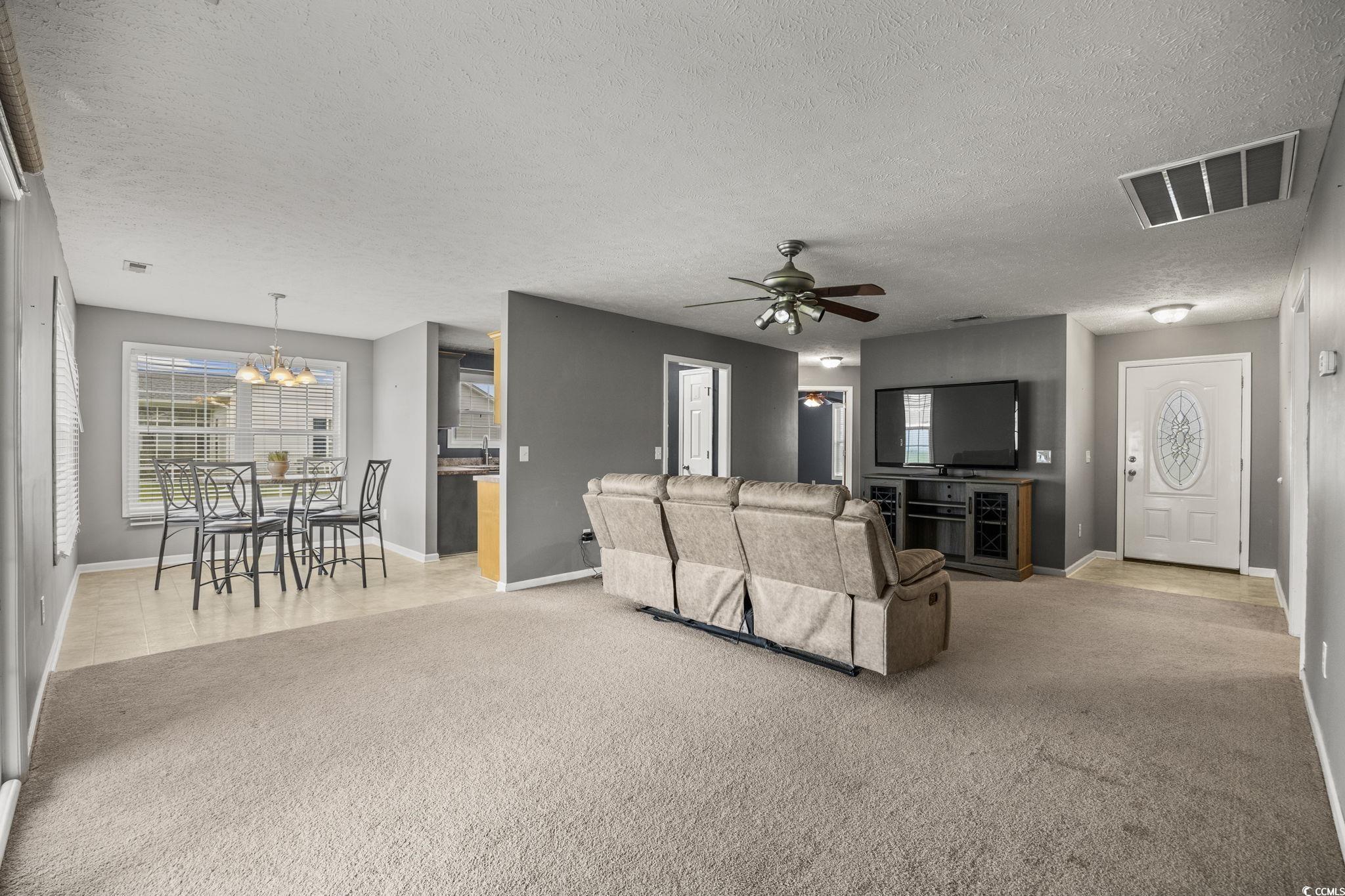 478 Carolina Hickory St.