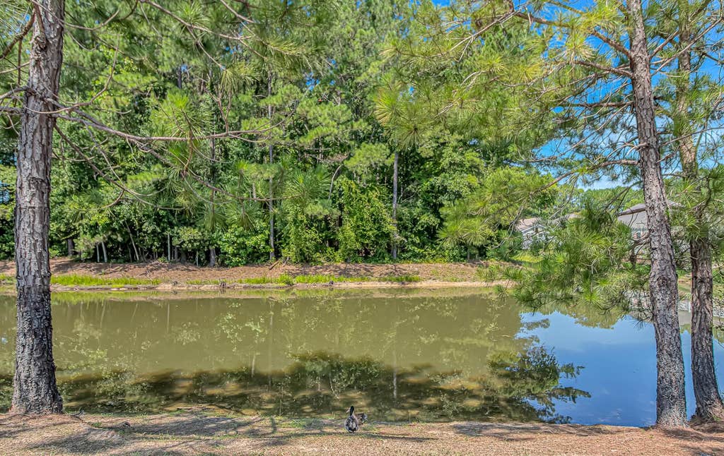 Photo of 1010 Napa Ct, Longs, SC 29568 (MLS # 2621043)