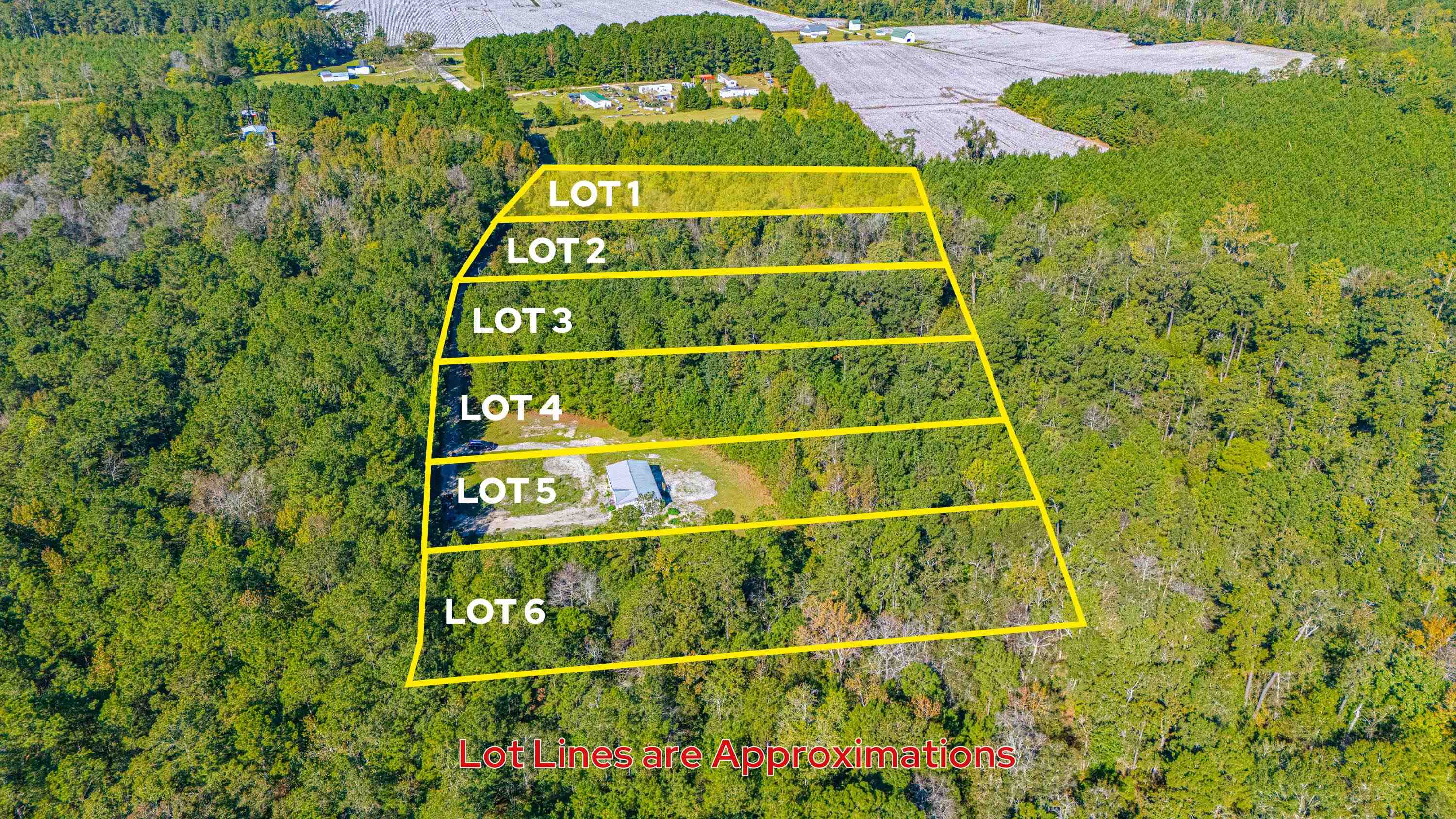 7035 Long Horne Ranch Dr.