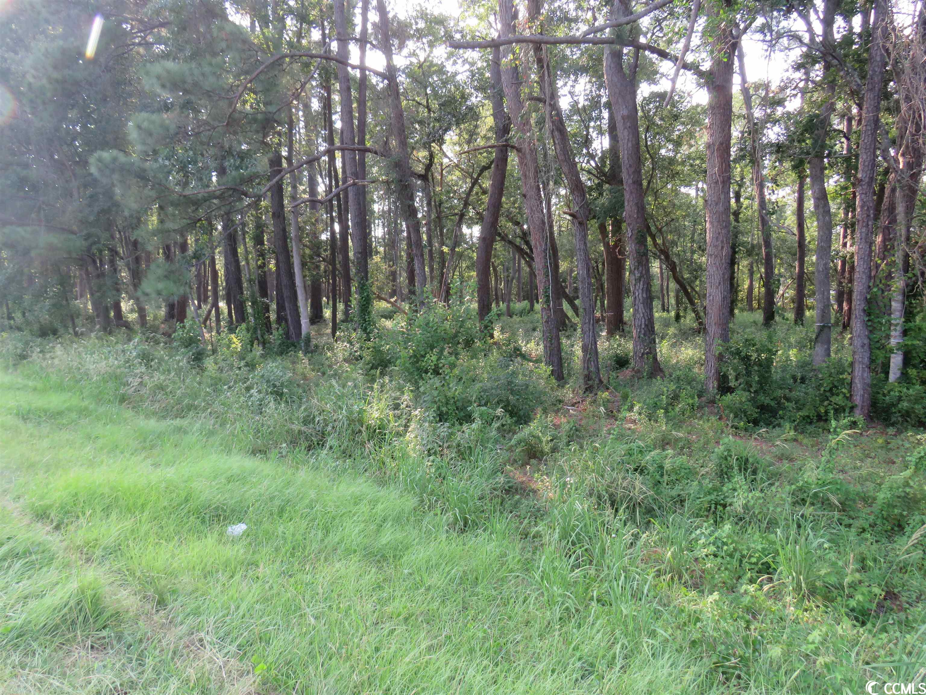 1901 N Hwy 17 S